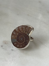 Load image into Gallery viewer, Ammonite Shell Sterling Silver Ring Size 9.25
