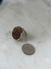 Load image into Gallery viewer, Ammonite Shell Sterling Silver Ring Size 9.25
