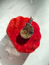 Load image into Gallery viewer, Ammonite Sterling Silver Pendant
