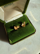 Load image into Gallery viewer, Green Enamel Turtle 14k Gold Push Back Earrings
