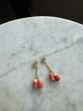 Load image into Gallery viewer, Vintage Carved Coral 14k Gold Earrings
