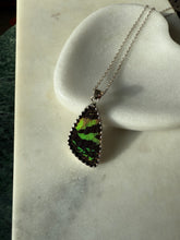 Load image into Gallery viewer, Butterfly Wing Sterling Silver Necklace
