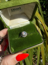 Load image into Gallery viewer, Opal Sterling Silver Ring Size 6.25
