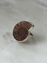 Load image into Gallery viewer, Ammonite Shell Sterling Silver Ring Size 9.25
