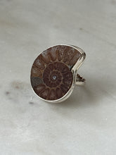 Load image into Gallery viewer, Ammonite Shell Sterling Silver Ring Size 9.25
