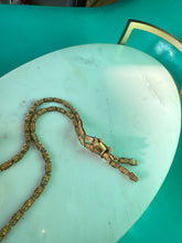 Load image into Gallery viewer, Antique Cameo Book Chain Tassle Necklace 16”
