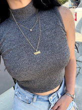 Load image into Gallery viewer, Spoiled Rotten Michael Anthony 1980s 14k Yellow Gold Pendant
