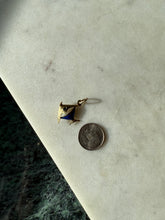 Load image into Gallery viewer, Blue Enamel 14k Gold Fish Charm
