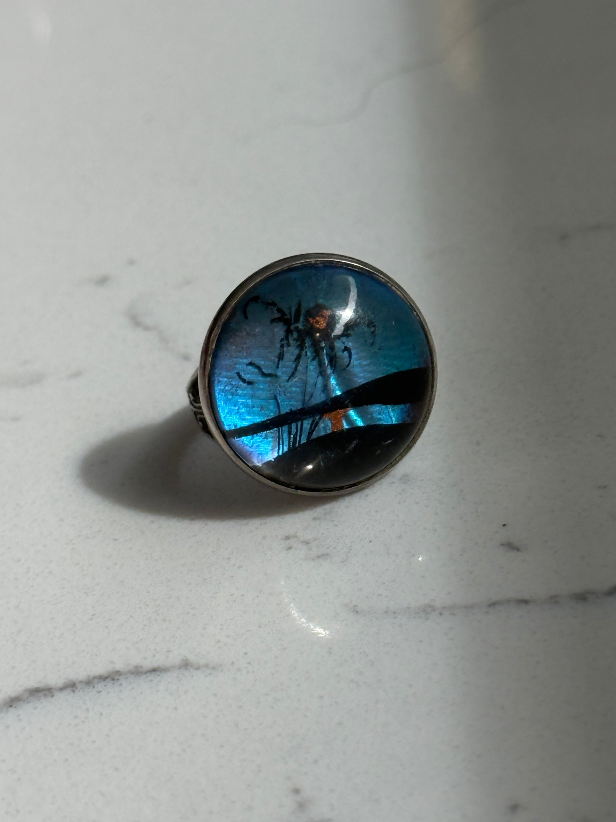 Antique Morpho Butterfly Ring Size 5.25 – Darling Degenerate