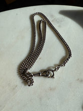 Load image into Gallery viewer, Dog Clip 835 Silver Watch Chain 17”
