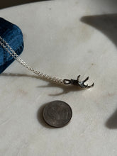 Load image into Gallery viewer, Claw Sterling Silver Necklace 18”
