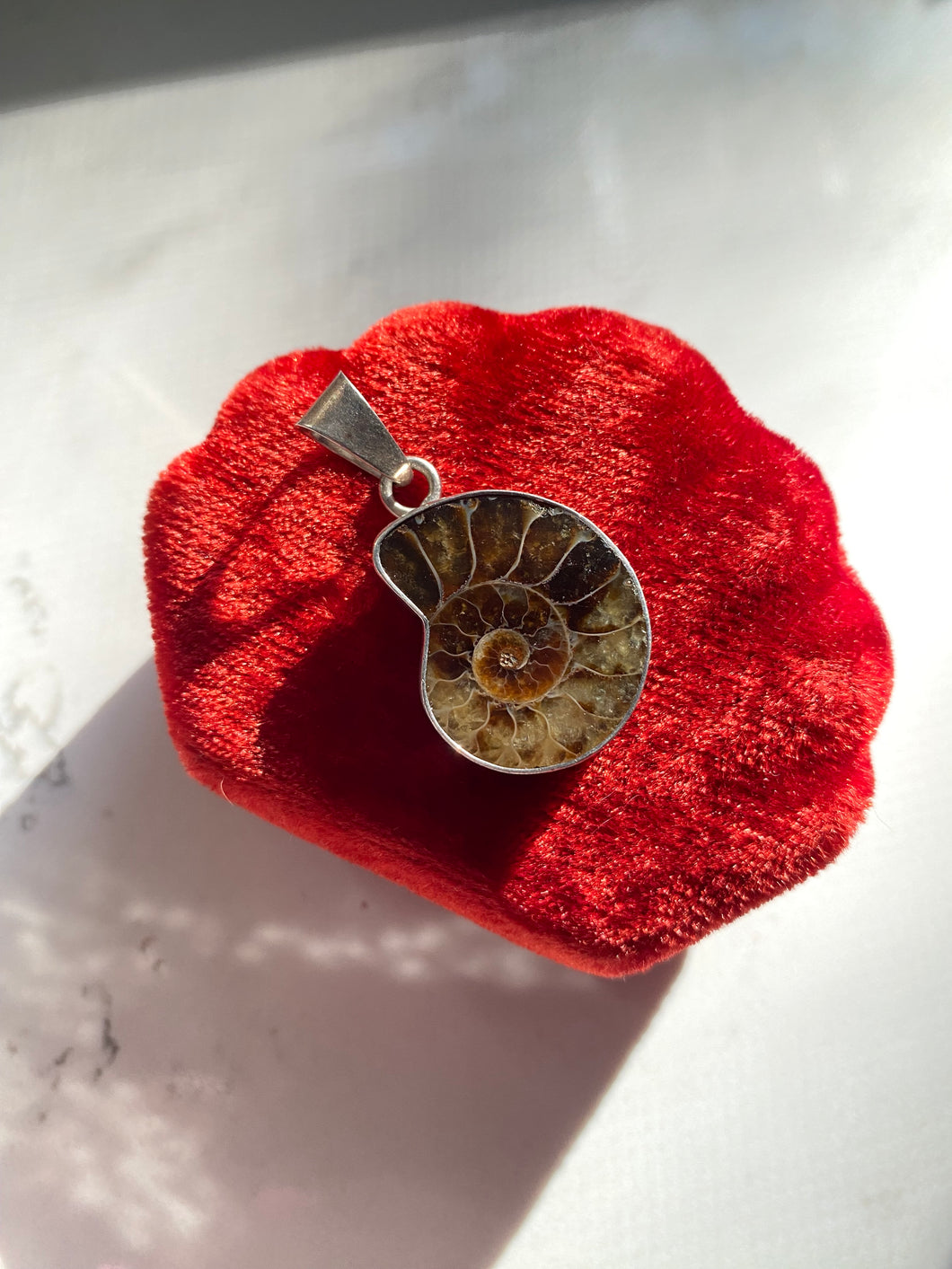 Ammonite Sterling Silver Pendant