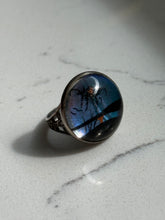 Load image into Gallery viewer, Antique Morpho Butterfly Ring Size 5.25
