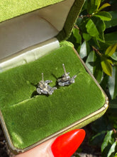 Load image into Gallery viewer, Vintage Turtle Sterling Silver Push Back Earrings
