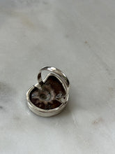 Load image into Gallery viewer, Ammonite Shell Sterling Silver Ring Size 9.25
