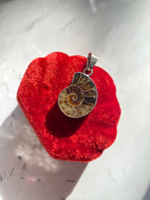 Load image into Gallery viewer, Ammonite Sterling Silver Pendant
